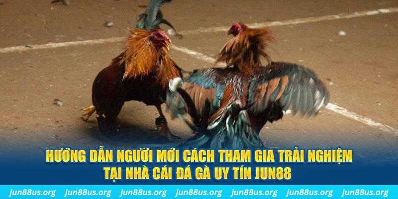 sv388 link CQ9 Điện Tử