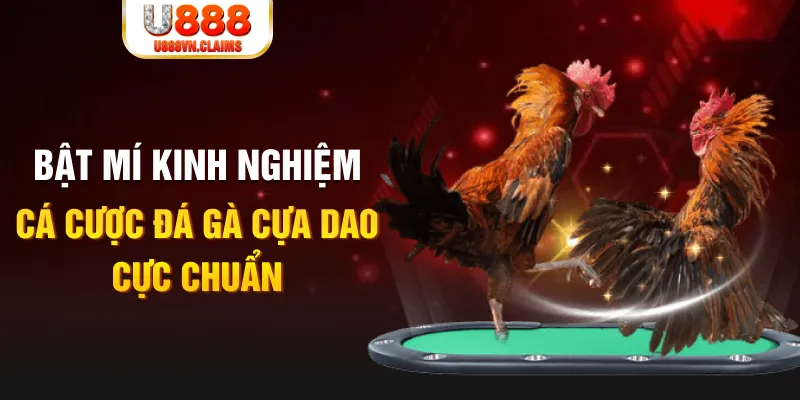sv388 link tỷ lệ cá cược châu á là gì