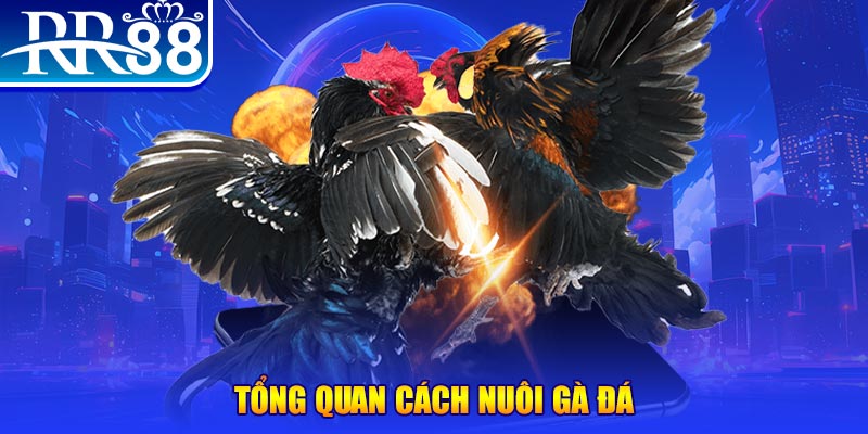 sv388 link VA Điện Tử