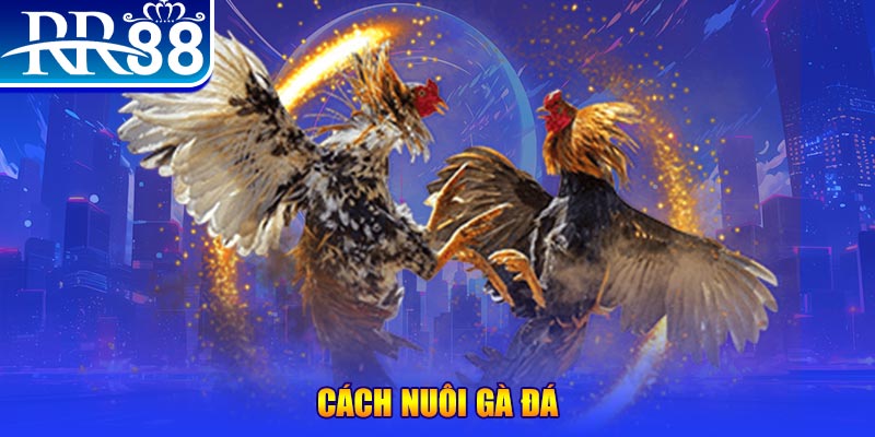 sv388 link xổ số an giang