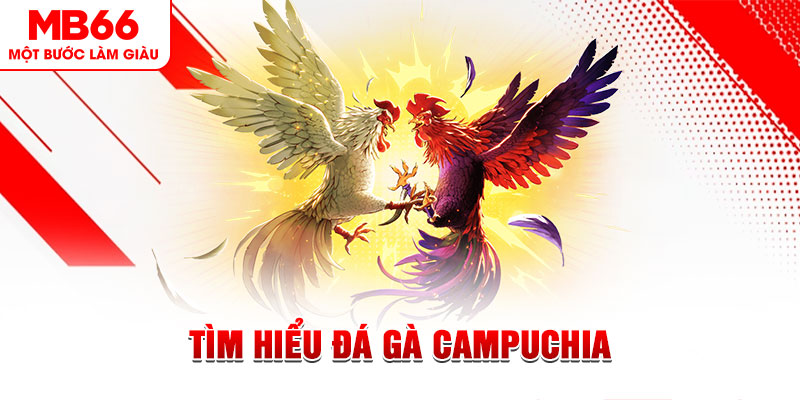 sv388 link đá gà trực tiếp