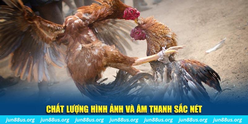 sv388 link đăng nhập roulette live