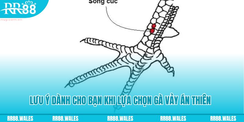 sv388 link xổ số đồng nai