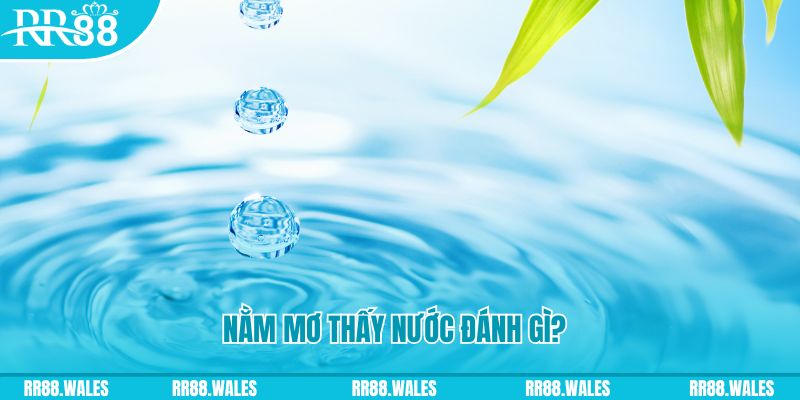sv388 link TP Bắn cá