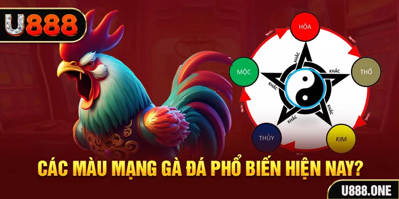 sv388 link trực tiếp đá gà 88