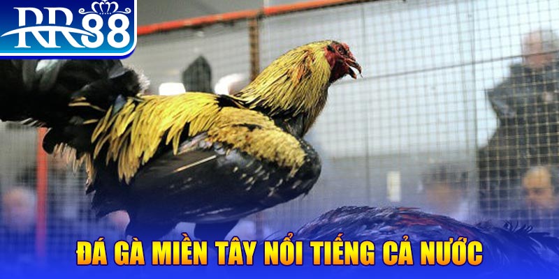 sv388 link JILI Game Bài 3d