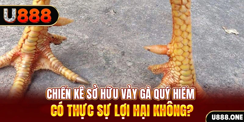 sv388 link nohu .mx nổ hủ là gì