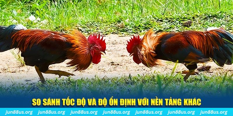 đá gà hôm nay