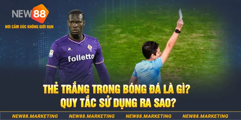 sv388 link gà chọi mộc hóa