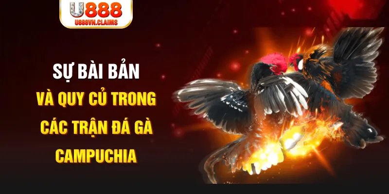 sv388 link YGR Điện Tử