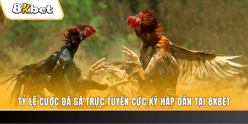 sv388 link xổ số trực tiếp miền bắc