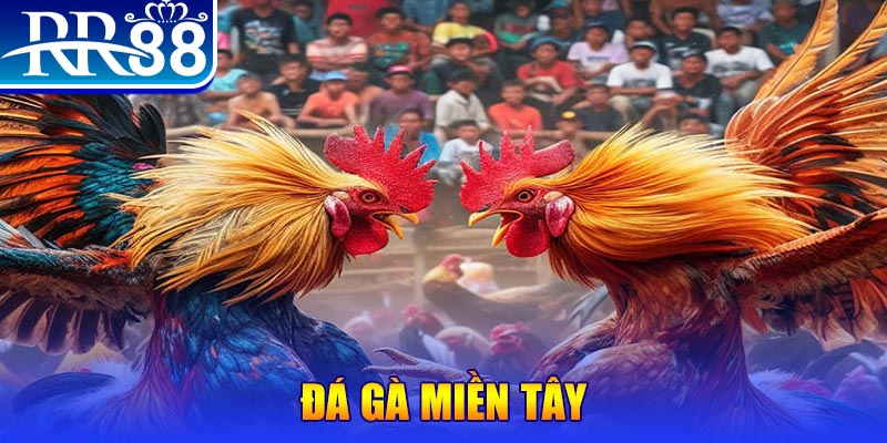 sv388 link đăng nhập nổ hũ