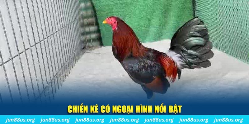 sv388 link chạy quảng cáo cho game bài bị phạt như thế nào